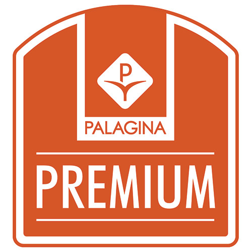 Logo Palagina Premium